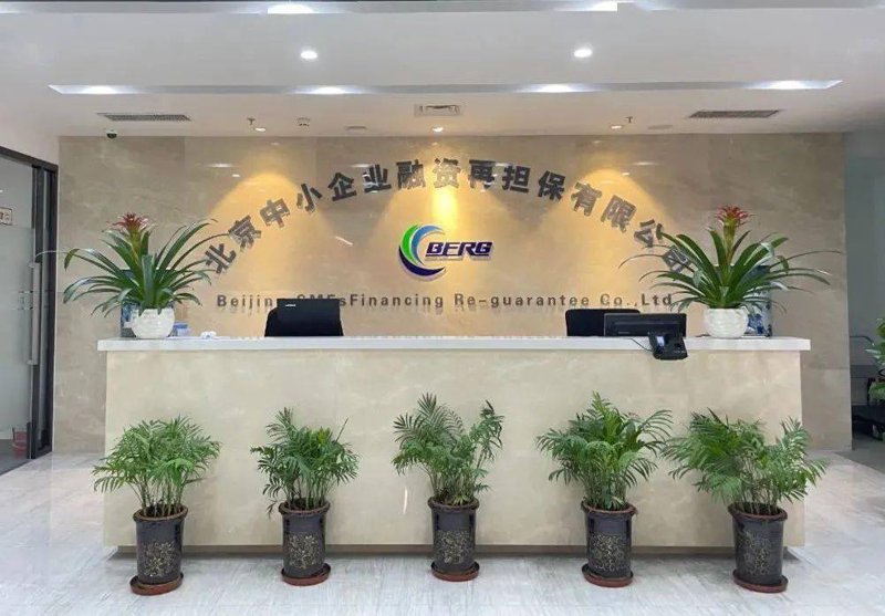 婚姻家庭：爱与责任共筑的幸福殿堂